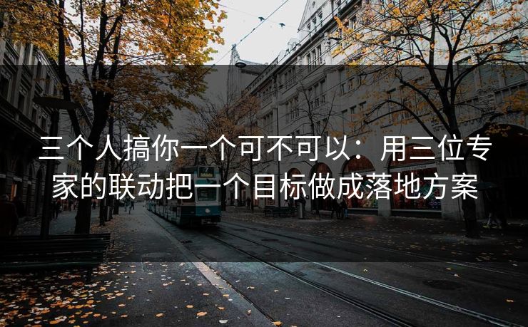 三个人搞你一个可不可以：用三位专家的联动把一个目标做成落地方案