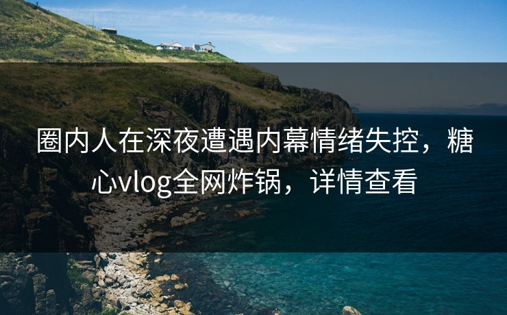 圈内人在深夜遭遇内幕情绪失控，糖心vlog全网炸锅，详情查看