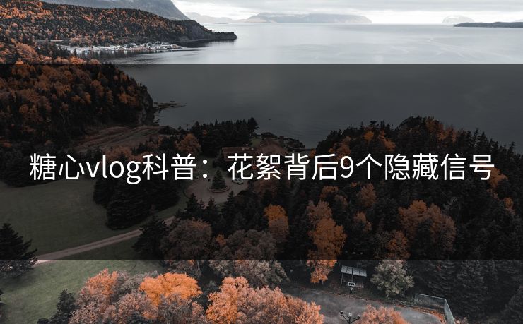 糖心vlog科普：花絮背后9个隐藏信号