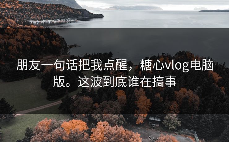 朋友一句话把我点醒，糖心vlog电脑版。这波到底谁在搞事