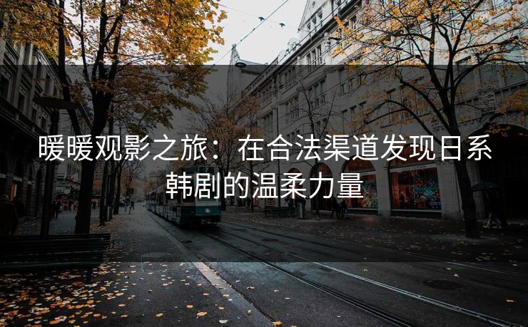 暖暖观影之旅：在合法渠道发现日系韩剧的温柔力量